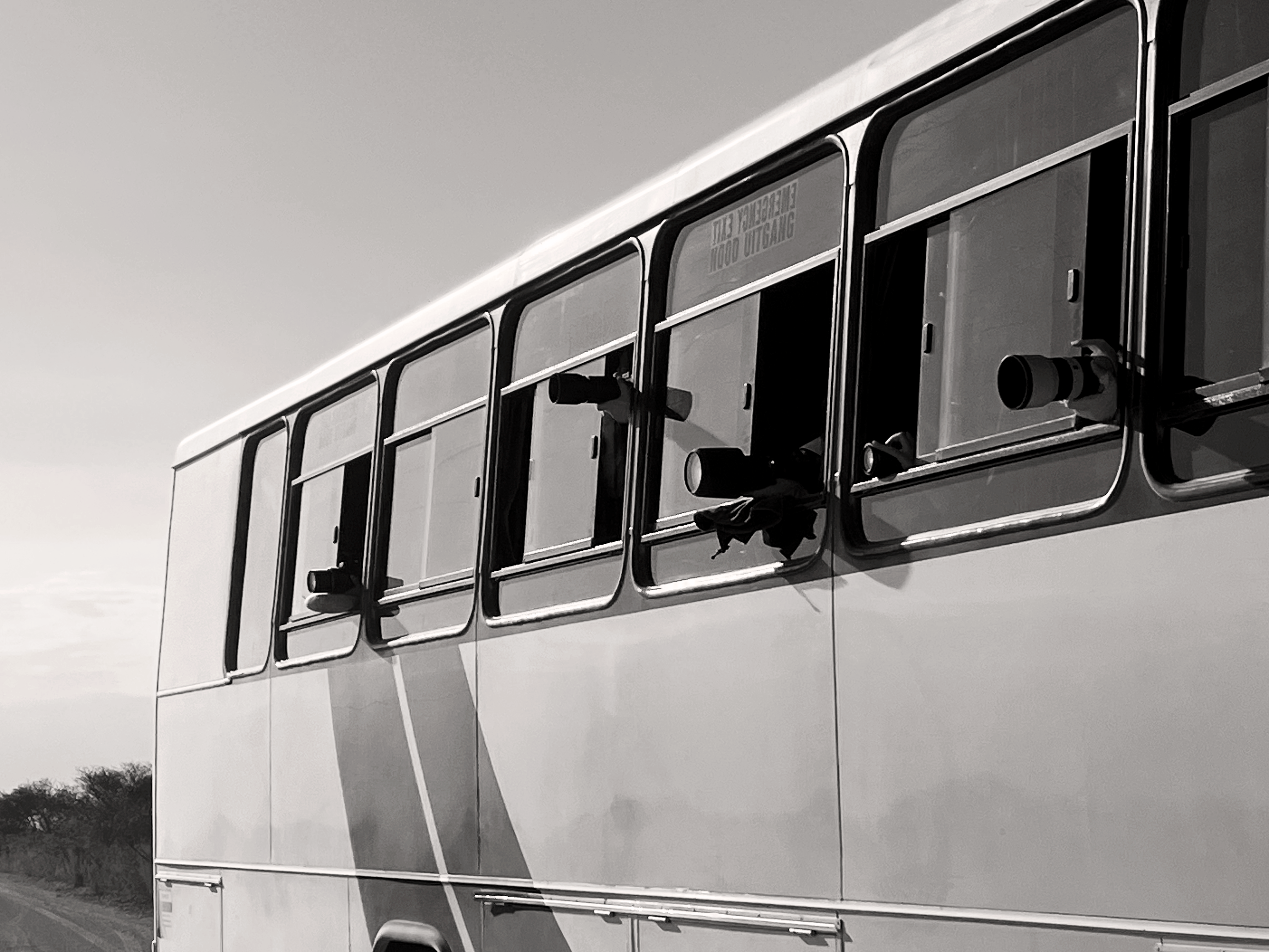 Changing the perspective on living